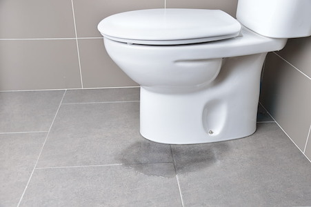 Toilet Replacement: Comfort Height, Water Savings & Quiet Flush Options